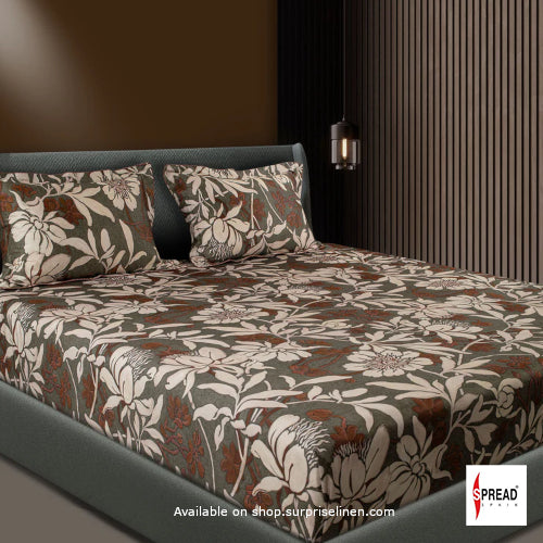 Spread Spain - Spring Summer Collection 550 TC 100% Cotton King Size Bedsheet Set (Brown)