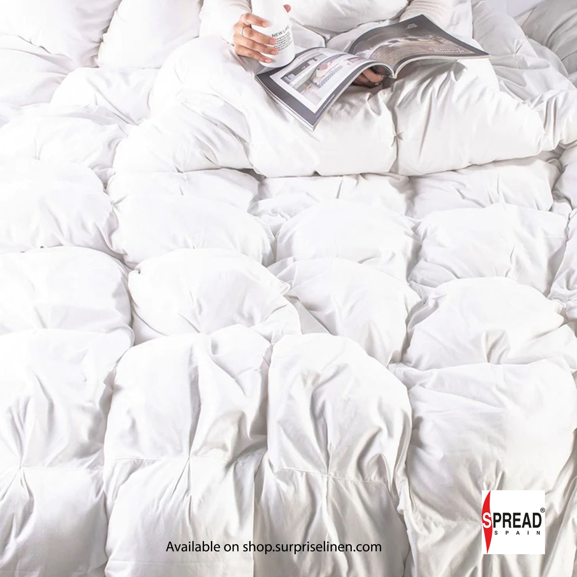 Spread Spain - Sleepy Panda 72 Chambers Synthetic Down Fibre Extreme Winter Quilt