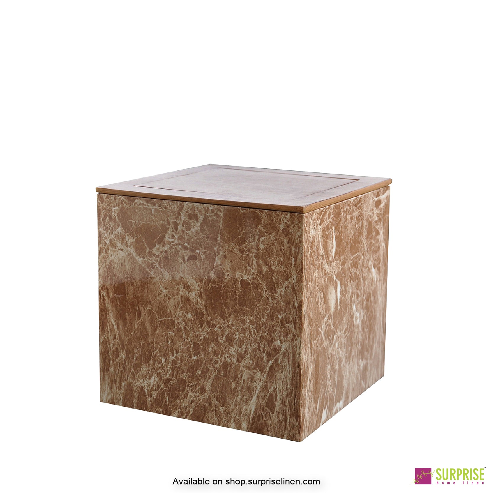 Surprise Home - Recto Dust Bin (Brown)