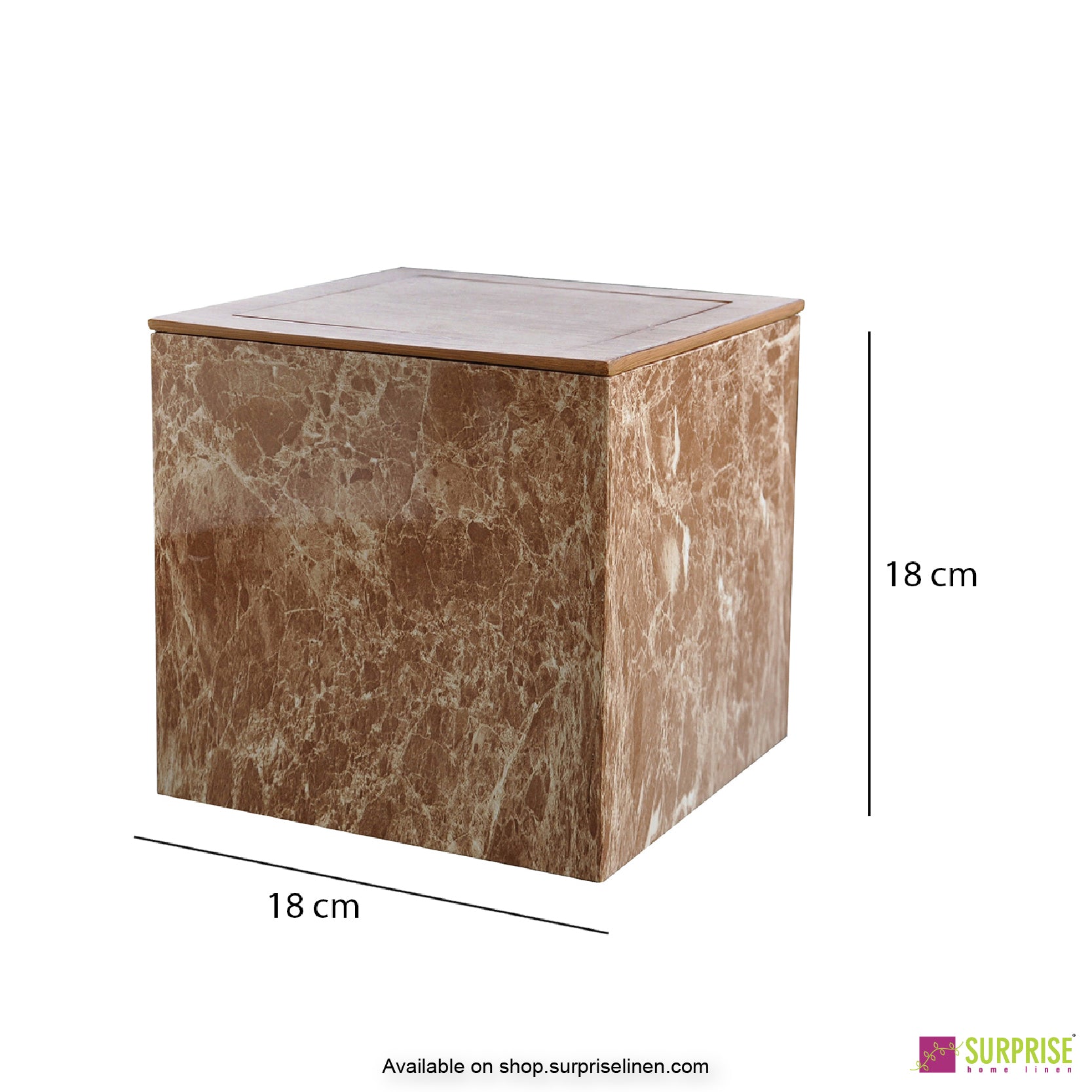 Surprise Home - Recto Dust Bin (Brown)