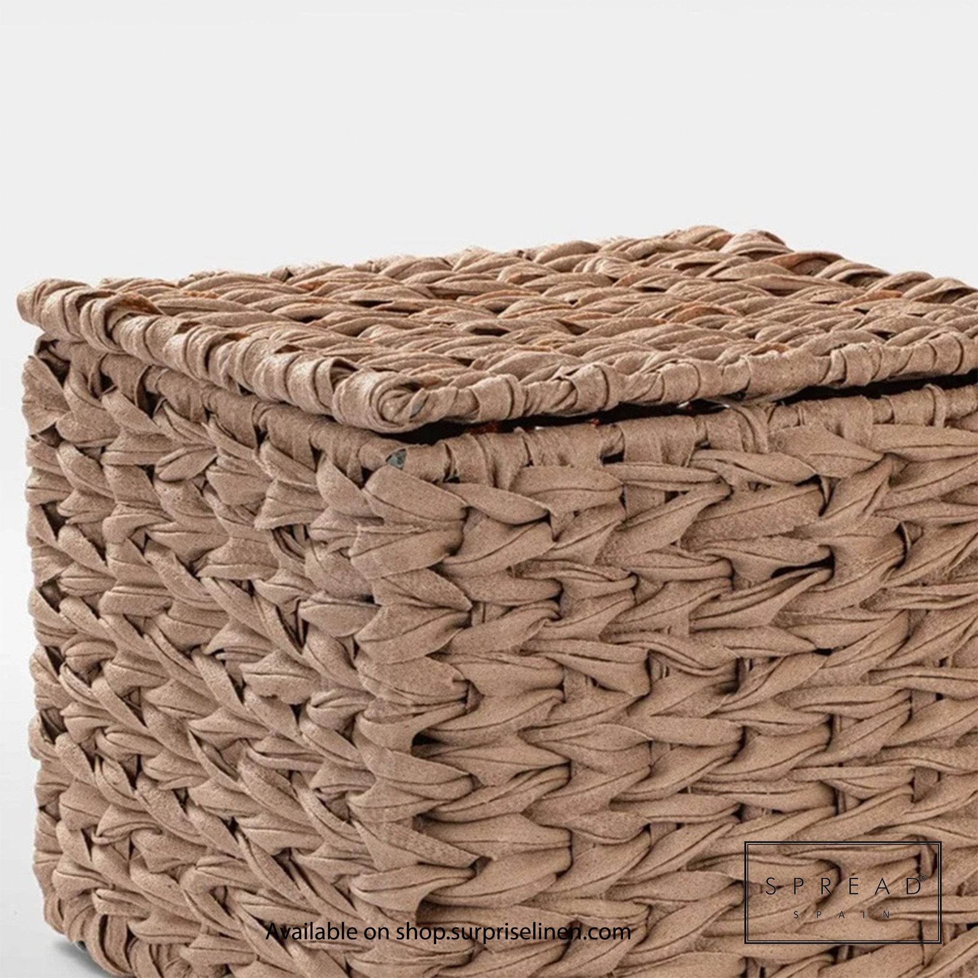 Spread Spain - Waterproof & Moisture Proof Synthetic Rattan Interknit Dustbin (Dark Brown)