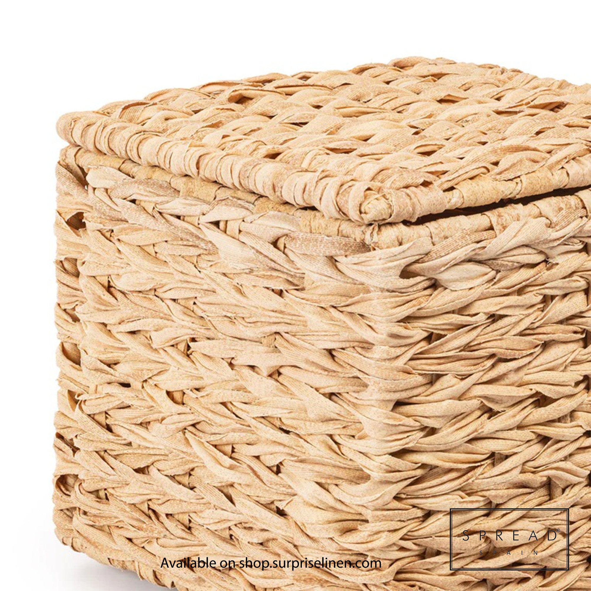 Spread Spain - Waterproof & Moisture Proof Synthetic Rattan Interknit Dustbin (Brown)