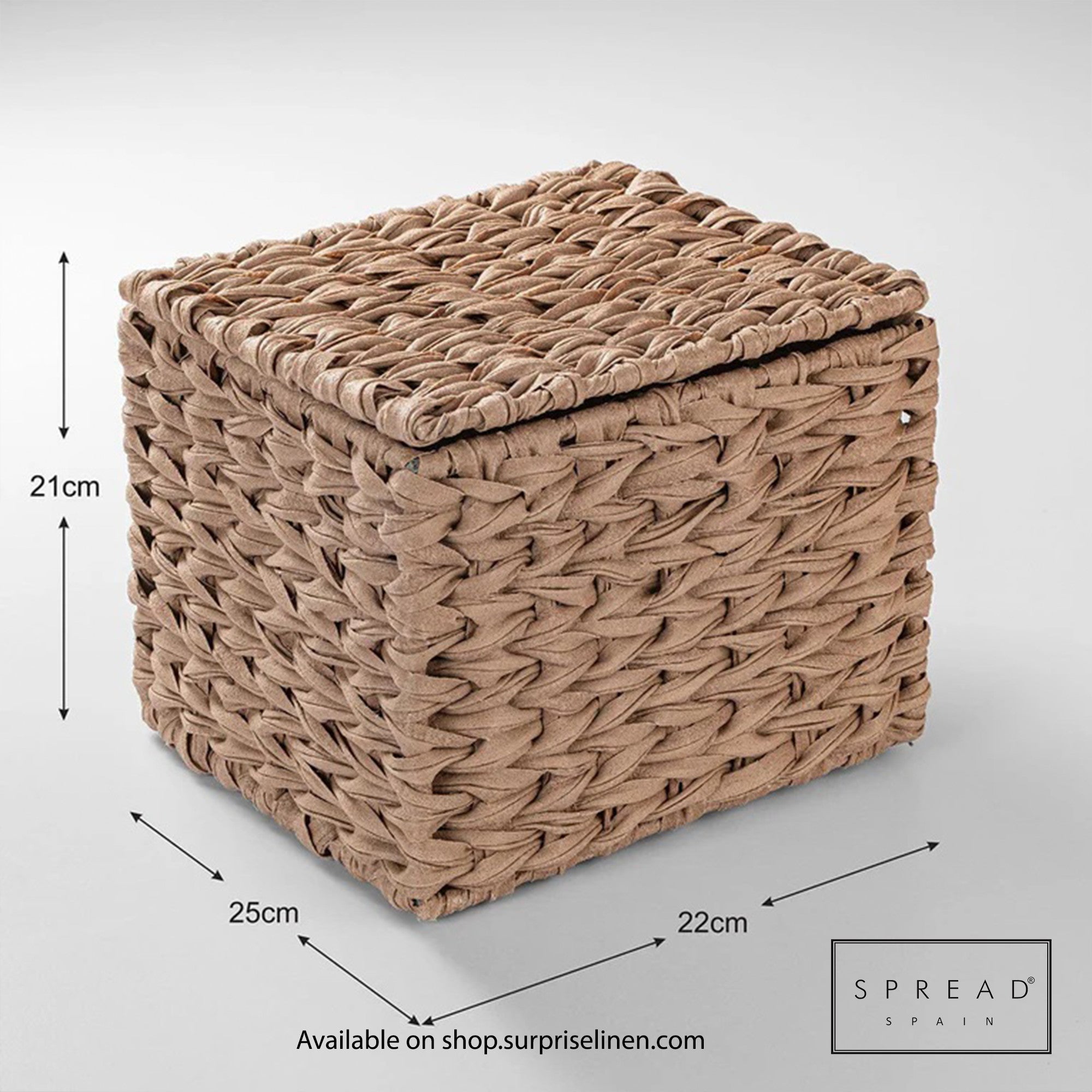 Spread Spain - Waterproof & Moisture Proof Synthetic Rattan Interknit Dustbin (Dark Brown)