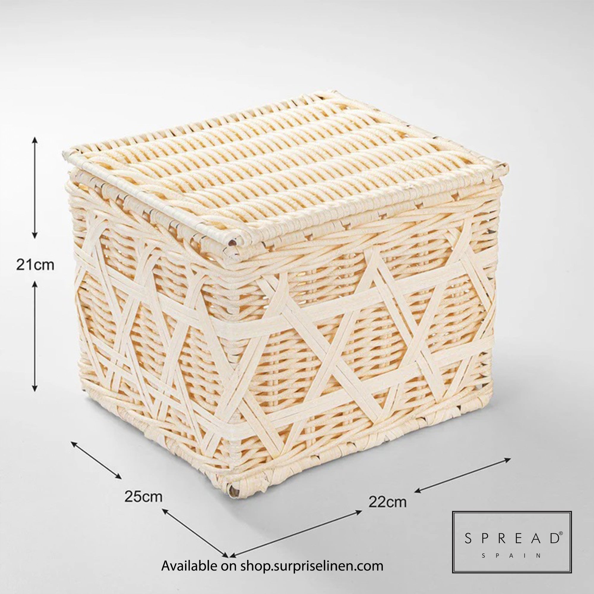 Spread Spain - Waterproof & Moisture Proof Synthetic Rattan Interweave Dustbin (Off White)