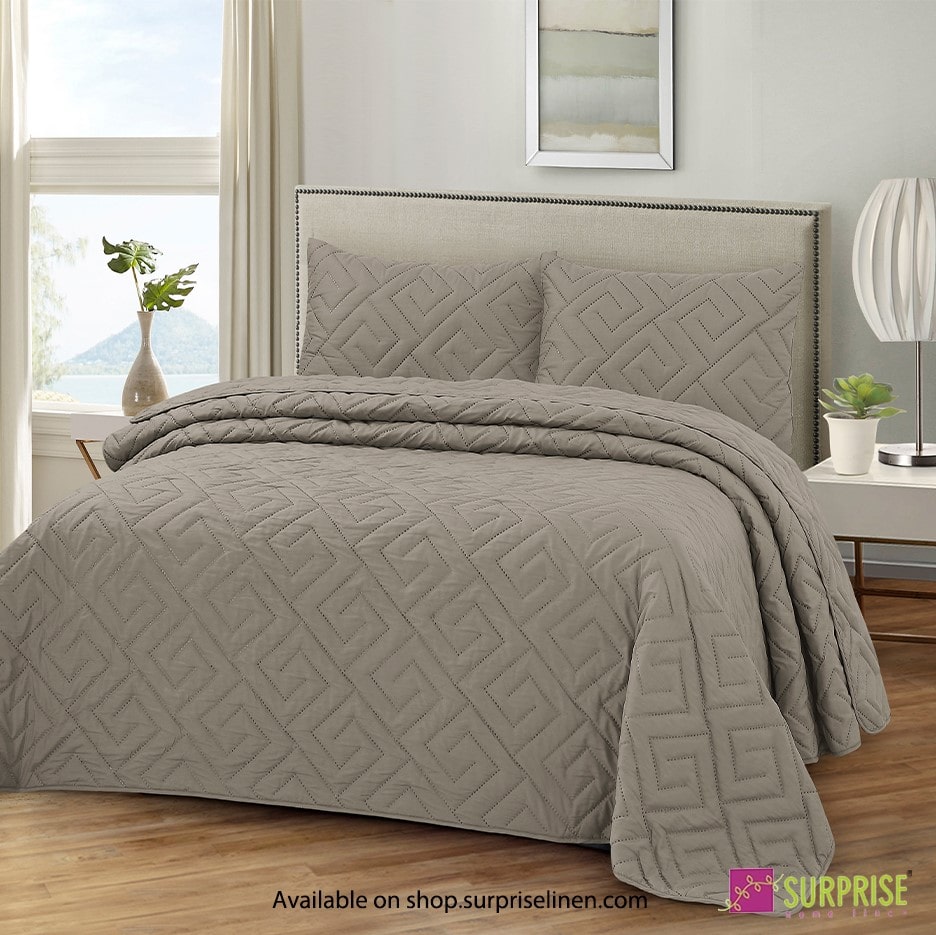 Surprise Home - Everyday Essentials D'Lux 3 Pcs Bedcover Set (Cub)