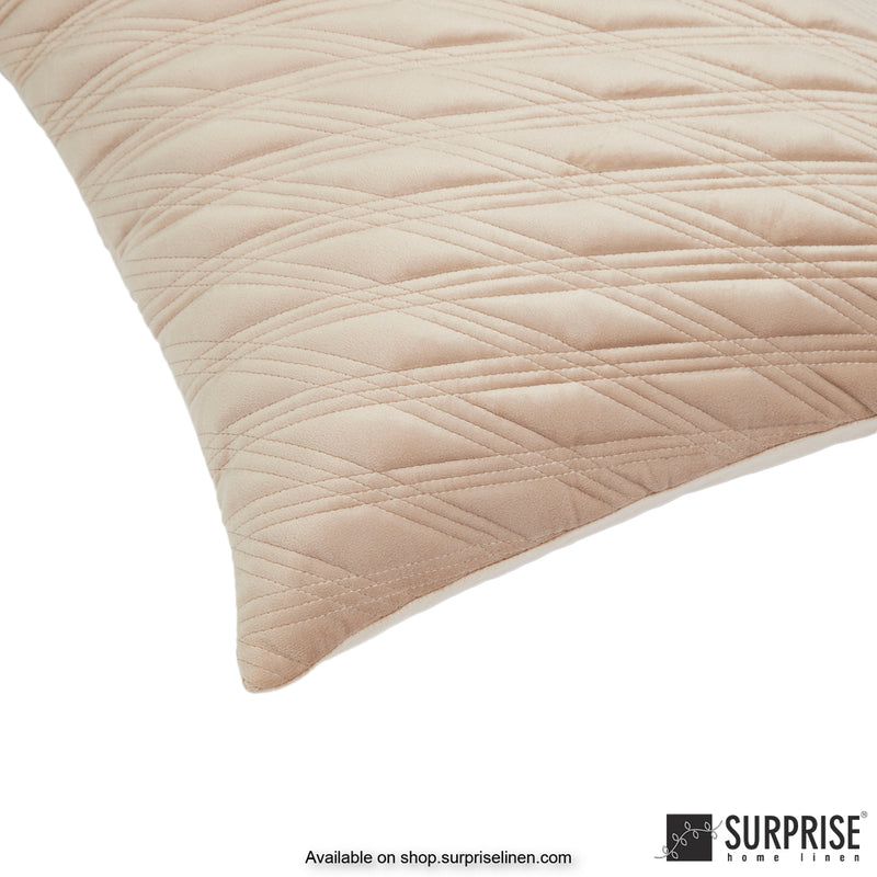 Surprise Home - Velvet Chic 40 x 40 cms Designer Cushion Cover (Beige)