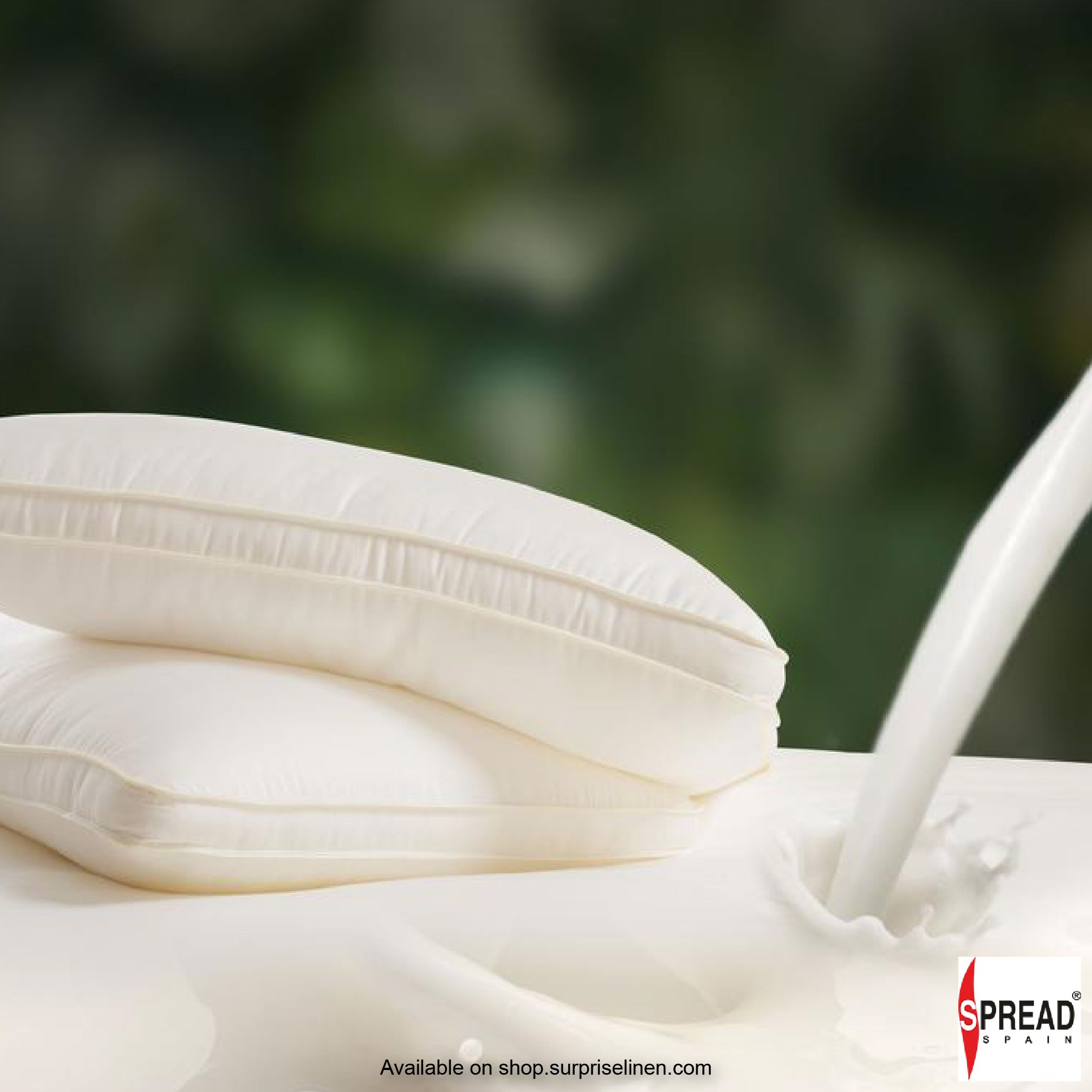 Spread Spain - Natural Milk Protein Fiber Pillow